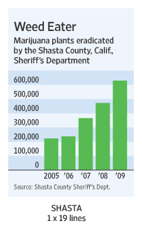 [shasta]